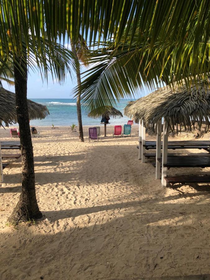 Brin D'Ile Anse Des Rochers Vue Mer A 50 M De La Plage Et Piscine Saint-Francois  Exterior photo