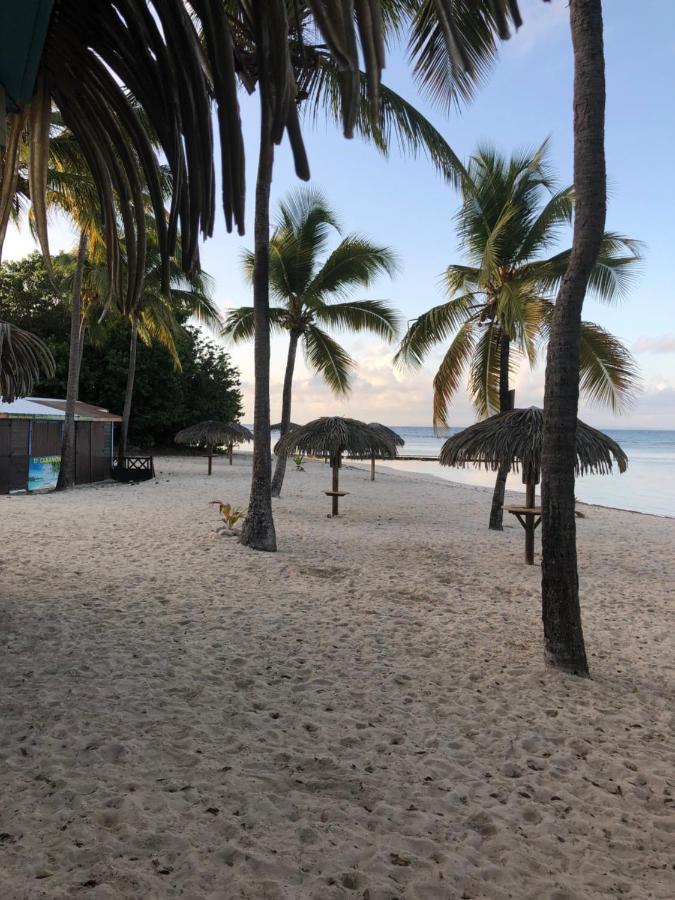 Brin D'Ile Anse Des Rochers Vue Mer A 50 M De La Plage Et Piscine Saint-Francois  Exterior photo