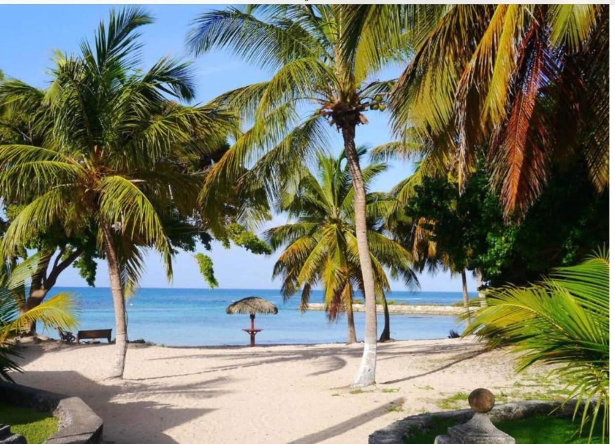 Brin D'Ile Anse Des Rochers Vue Mer A 50 M De La Plage Et Piscine Saint-Francois  Exterior photo